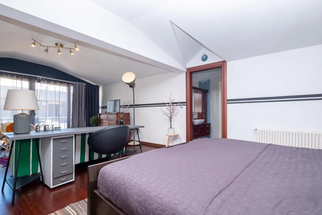 Flat With Terrace Near Istiklal Street Apartment Istanbul 0*,